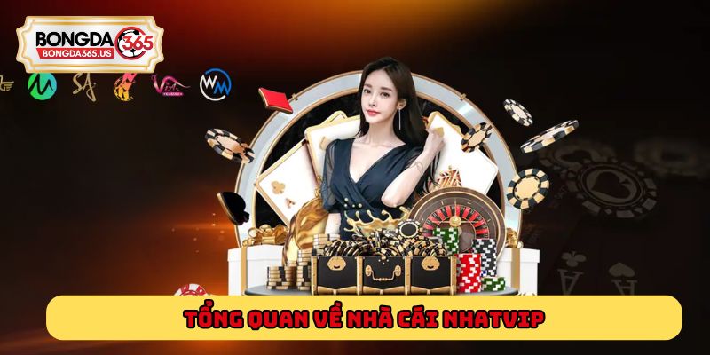Tổng quan về nhà cái Nhatvip