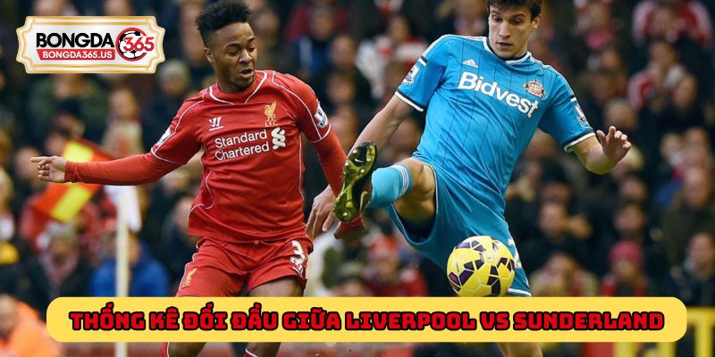 Thống kê đối đầu giữa Liverpool vs Sunderland