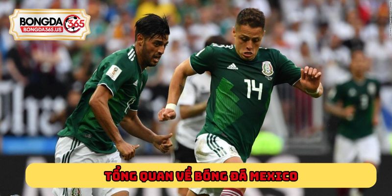 Tổng quan về bóng đá Mexico