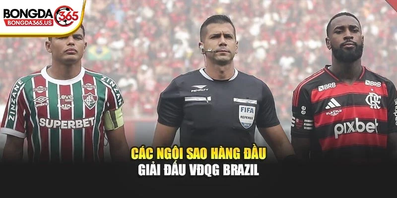 Các ngôi sao hàng đầu giải đấu VĐQG Brazil
