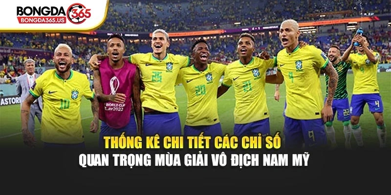 Thống kê chi tiết các chỉ số quan trọng mùa giải vô địch Nam Mỹ